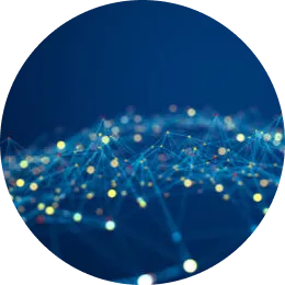 ALINER Volunteers Programs