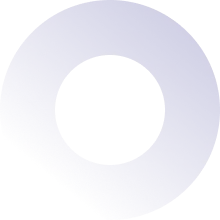 ALINER Volunteers Programs